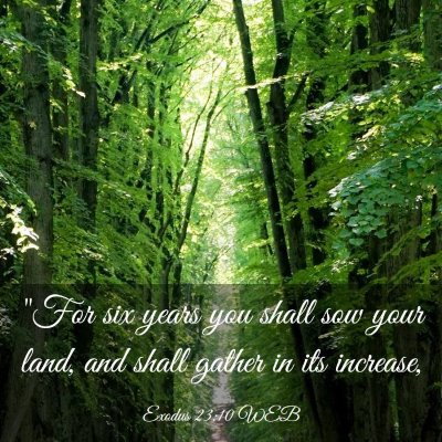 Picture 03 - Exodus 23:10 WEB - 