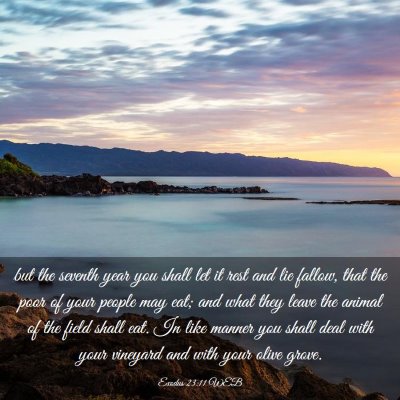 Picture 03 - Exodus 23:11 WEB - but the seventh year you shall let it rest and - Bible Verse Picture