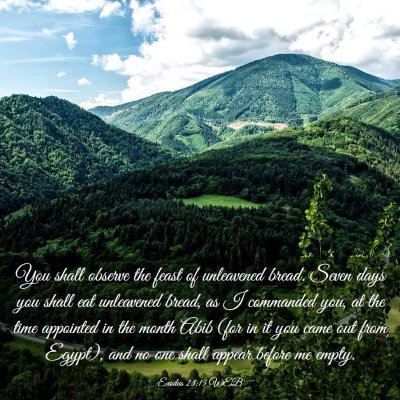 Picture 03 - Exodus 23:15 WEB - You shall observe the feast of unleavened bread. - Bible Verse Picture