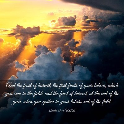Picture 03 - Exodus 23:16 WEB - And the feast of harvest, the first fruits of - Bible Verse Picture
