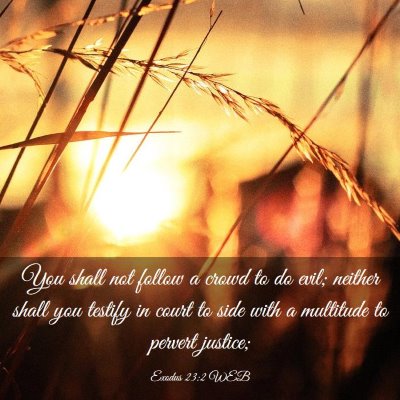 Picture 03 - Exodus 23:2 WEB - You shall not follow a crowd to do evil; neither - Bible Verse Picture