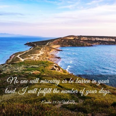 Picture 03 - Exodus 23:26 WEB - No one will miscarry or be barren in your land. I - Bible Verse Picture