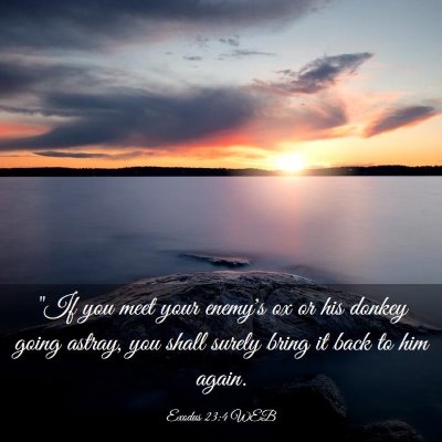 Picture 03 - Exodus 23:4 WEB - 