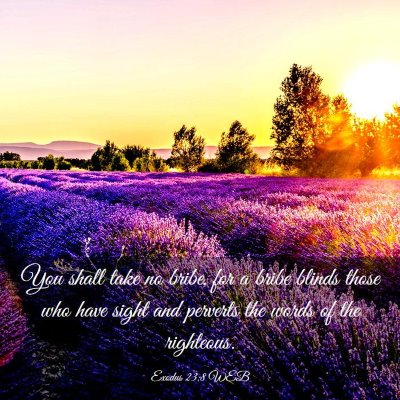 Picture 03 - Exodus 23:8 WEB - You shall take no bribe, for a bribe blinds those - Bible Verse Picture