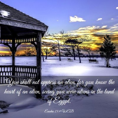 Picture 03 - Exodus 23:9 WEB - 