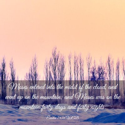 Picture 03 - Exodus 24:18 WEB - Moses entered into the midst of the cloud, and - Bible Verse Picture