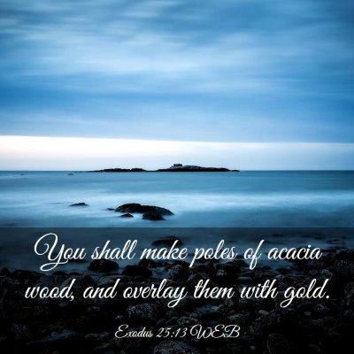 Picture 03 - Exodus 25:13 WEB - You shall make poles of acacia wood, and overlay - Bible Verse Picture