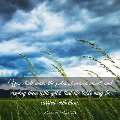 Picture 03 - Exodus 25:28 WEB - You shall make the poles of acacia wood, and - Bible Verse Picture