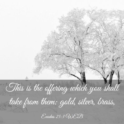 Picture 03 - Exodus 25:3 WEB - This is the offering which you shall take from - Bible Verse Picture