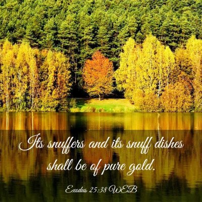 Picture 03 - Exodus 25:38 WEB - Its snuffers and its snuff dishes shall be of - Bible Verse Picture