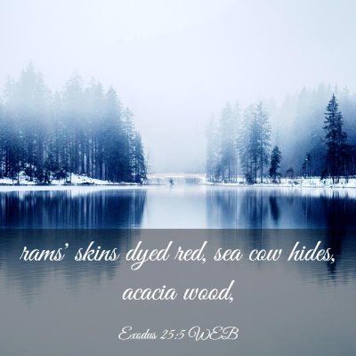 Picture 03 - Exodus 25:5 WEB - rams' skins dyed red, sea cow hides, acacia - Bible Verse Picture