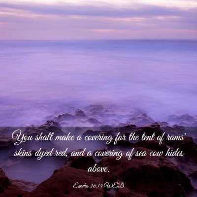 Picture 03 - Exodus 26:14 WEB - You shall make a covering for the tent of rams' - Bible Verse Picture