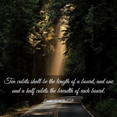 Picture 03 - Exodus 26:16 WEB - Ten cubits shall be the length of a board, and - Bible Verse Picture