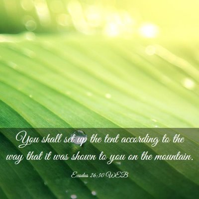 Picture 03 - Exodus 26:30 WEB - You shall set up the tent according to the way - Bible Verse Picture