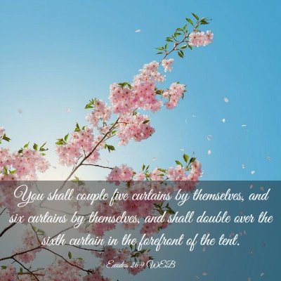 Picture 03 - Exodus 26:9 WEB - You shall couple five curtains by themselves, and - Bible Verse Picture