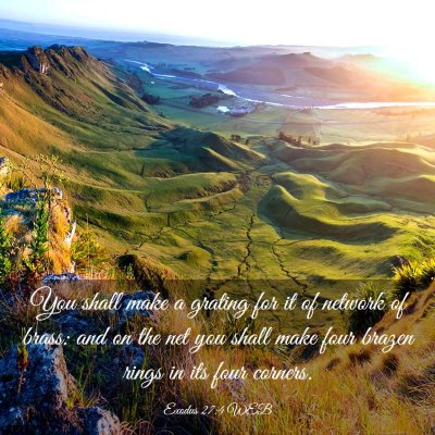 Picture 03 - Exodus 27:4 WEB - You shall make a grating for it of network of - Bible Verse Picture