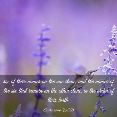 Picture 03 - Exodus 28:10 WEB - six of their names on the one stone, and the - Bible Verse Picture