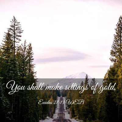 Picture 03 - Exodus 28:13 WEB - You shall make settings of - Bible Verse Picture
