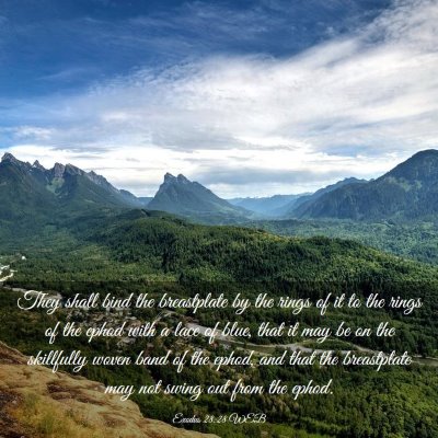 Picture 03 - Exodus 28:28 WEB - They shall bind the breastplate by the rings of - Bible Verse Picture