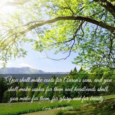 Picture 03 - Exodus 28:40 WEB - 