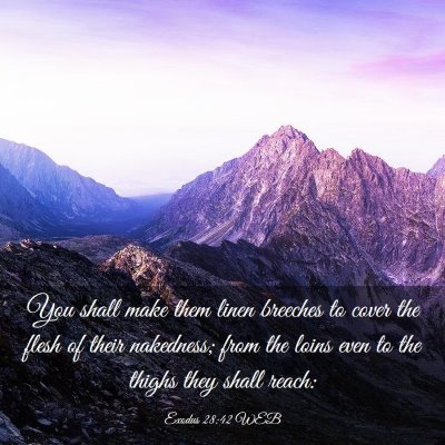 Picture 03 - Exodus 28:42 WEB - You shall make them linen breeches to cover the - Bible Verse Picture