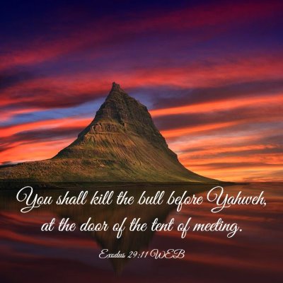 Picture 03 - Exodus 29:11 WEB - You shall kill the bull before Yahweh, at the - Bible Verse Picture