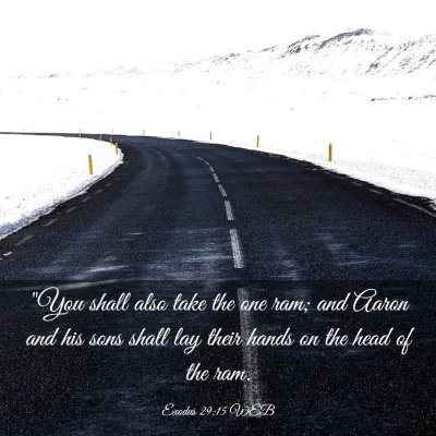 Picture 03 - Exodus 29:15 WEB - 