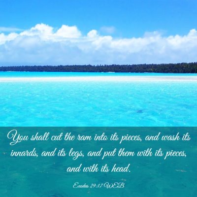 Picture 03 - Exodus 29:17 WEB - You shall cut the ram into its pieces, and wash - Bible Verse Picture