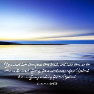 Picture 03 - Exodus 29:25 WEB - You shall take them from their hands, and burn - Bible Verse Picture