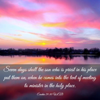 Picture 03 - Exodus 29:30 WEB - Seven days shall the son who is priest in his - Bible Verse Picture