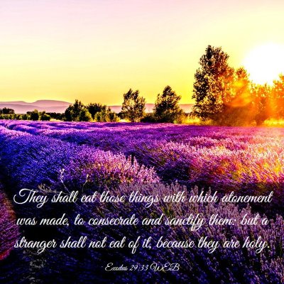 Picture 03 - Exodus 29:33 WEB - They shall eat those things with which atonement - Bible Verse Picture