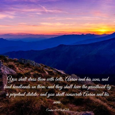 Picture 03 - Exodus 29:9 WEB - You shall dress them with belts, Aaron and his - Bible Verse Picture