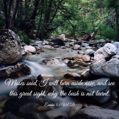 Picture 03 - Exodus 3:3 WEB - Moses said, I will turn aside now, and see this - Bible Verse Picture