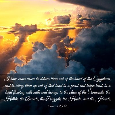 Picture 03 - Exodus 3:8 WEB - I have come down to deliver them out of the hand - Bible Verse Picture