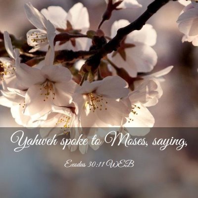 Picture 03 - Exodus 30:11 WEB - Yahweh spoke to Moses, - Bible Verse Picture