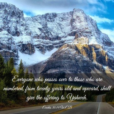 Picture 03 - Exodus 30:14 WEB - Everyone who passes over to those who are - Bible Verse Picture
