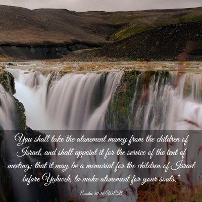 Picture 03 - Exodus 30:16 WEB - You shall take the atonement money from the - Bible Verse Picture