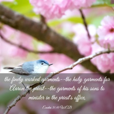 Picture 03 - Exodus 31:10 WEB - the finely worked garments--the holy garments for - Bible Verse Picture