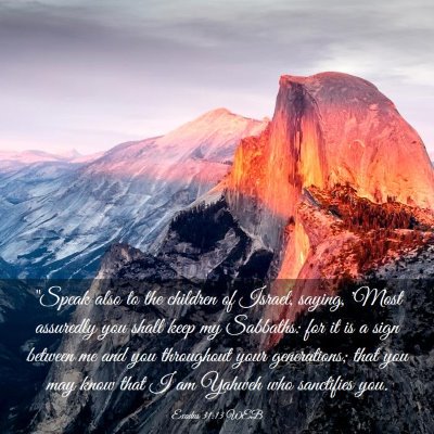 Picture 03 - Exodus 31:13 WEB - 