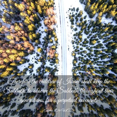 Picture 03 - Exodus 31:16 WEB - Therefore the children of Israel shall keep the - Bible Verse Picture