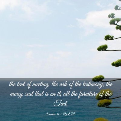Picture 03 - Exodus 31:7 WEB - the tent of meeting, the ark of the testimony, - Bible Verse Picture