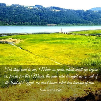 Picture 03 - Exodus 32:23 WEB - For they said to me, 'Make us gods, which shall - Bible Verse Picture