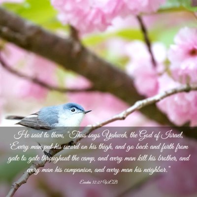 Picture 03 - Exodus 32:27 WEB - He said to them, 