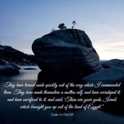 Picture 03 - Exodus 32:8 WEB - They have turned aside quickly out of the way - Bible Verse Picture