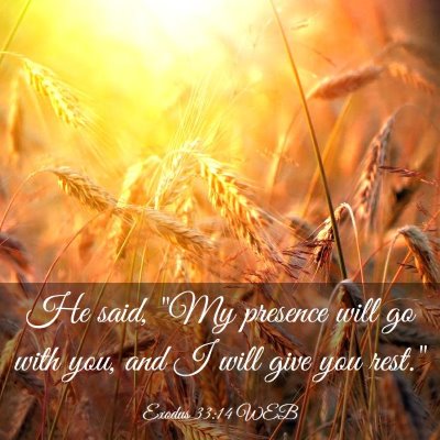 Picture 03 - Exodus 33:14 WEB - He said, 