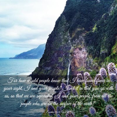 Picture 03 - Exodus 33:16 WEB - For how would people know that I have found favor - Bible Verse Picture