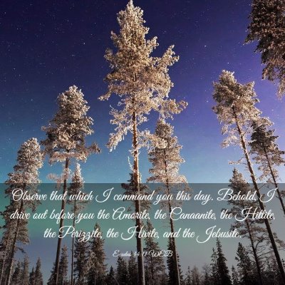 Picture 03 - Exodus 34:11 WEB - Observe that which I command you this day. - Bible Verse Picture