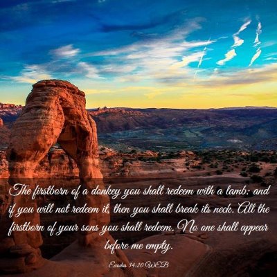 Picture 03 - Exodus 34:20 WEB - The firstborn of a donkey you shall redeem with a - Bible Verse Picture