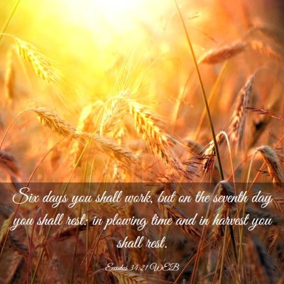 Picture 03 - Exodus 34:21 WEB - Six days you shall work, but on the seventh day - Bible Verse Picture