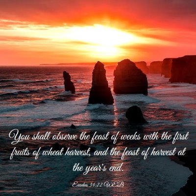 Picture 03 - Exodus 34:22 WEB - You shall observe the feast of weeks with the - Bible Verse Picture